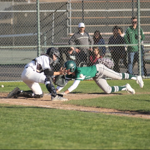 Meet your Posher, Ethan - Picture 1 of 1